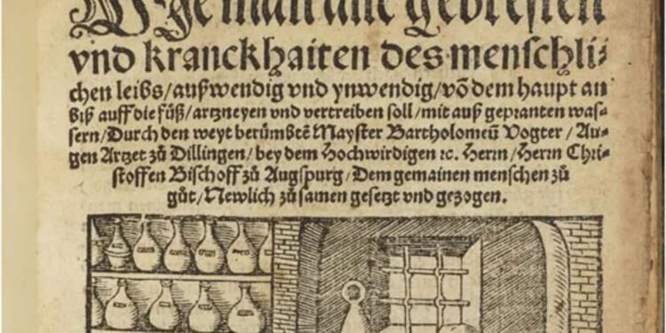 Rubbing human POO on head daily to cure baldness on shocking remedy list revealed by spills on 500-year-old medical book