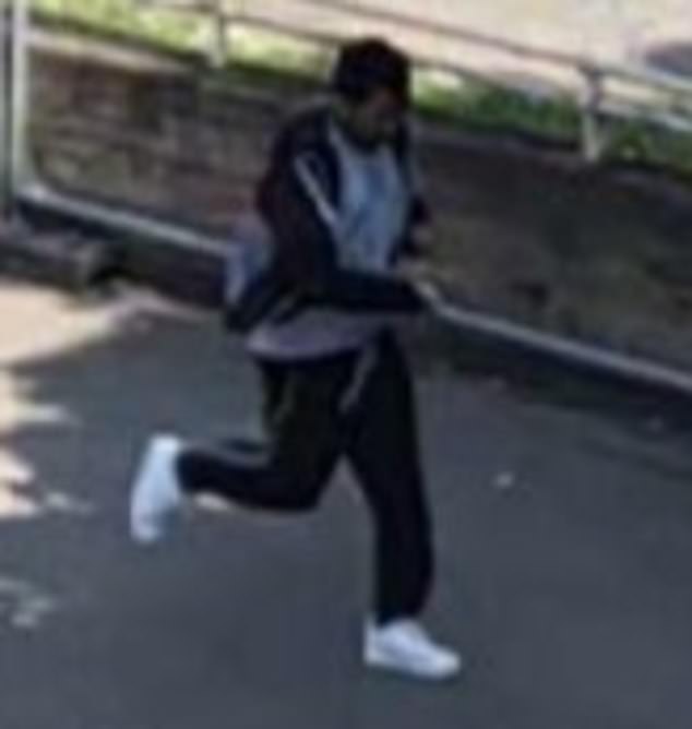 Debella returned to Meridan House and was soon back on his computer, visiting the Cold Steel knife and tool company, the court heard