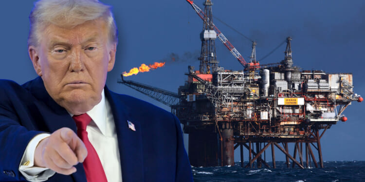 Donald Trump lashes out at Britain’s 'scam' Net Zero drive at Davos, warning 'bad things will happen'