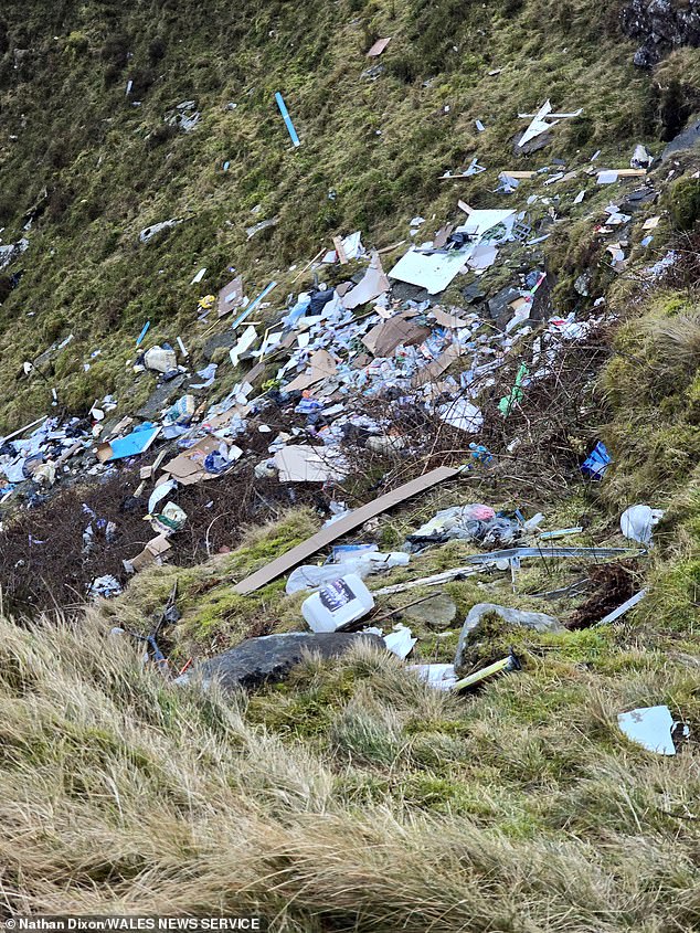 The Council has had to step in the past to help with the clean up, but this time it's so bad that Ms Davies is worried she'll have to pay thousands of pounds to clear up the mess