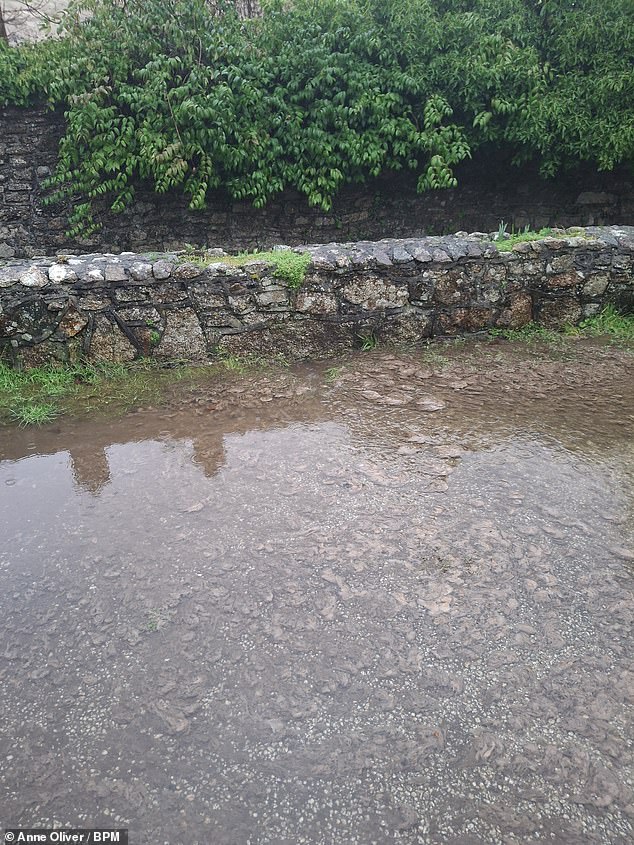A large puddle of sewage in the village. The problem, which has been ongoing for at least 15 years, has become so bad that locals often find sewage lapping at their front doors and on some occasions it has even flooded their homes