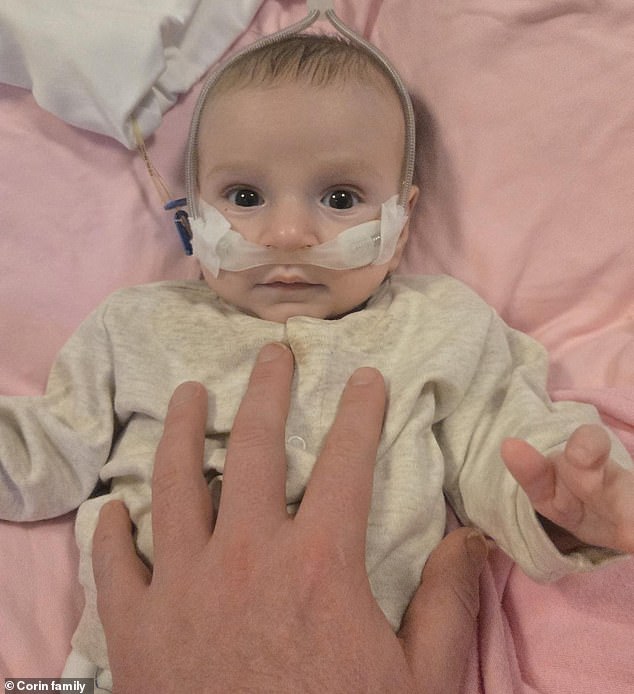 The risk increases every hour that Maverick will no longer be fit to fly to Britain for treatment