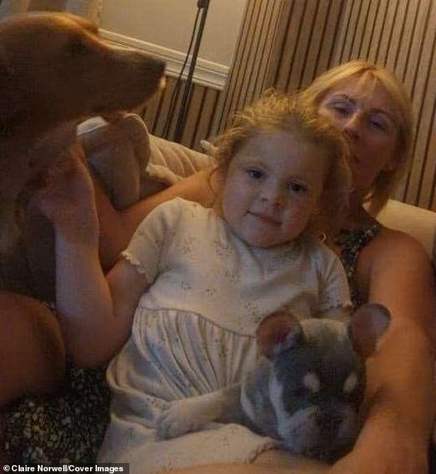 Another devastated family are searching for their beloved French Bulldog who they fear was stolen from their back garden. Pictured: Claire Norwell, of Broadstairs, Kent, and her five-year-old daughter Ivy-Abbie with their two dogs