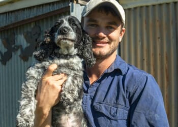 Vet warns of 5 ‘expensive’ dog breeds he’d not recommend as they’re riddled with health issues & cost a fortune to feed