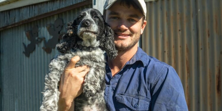 Vet warns of 5 ‘expensive’ dog breeds he’d not recommend as they’re riddled with health issues & cost a fortune to feed