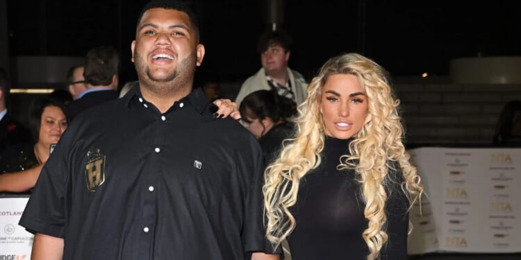 Katie Price admits Harvey smashed up 2 iPads and furniture before returning to residential care