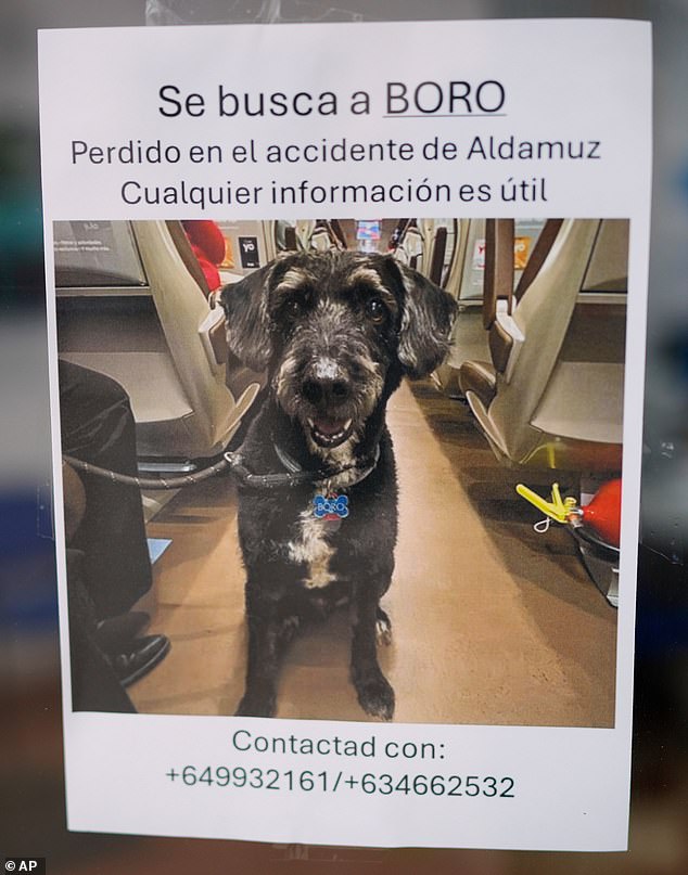 Photos of Boro went viral alongside phone numbers for Garcia and her family, and Spanish television broadcasters and newspapers covered the search