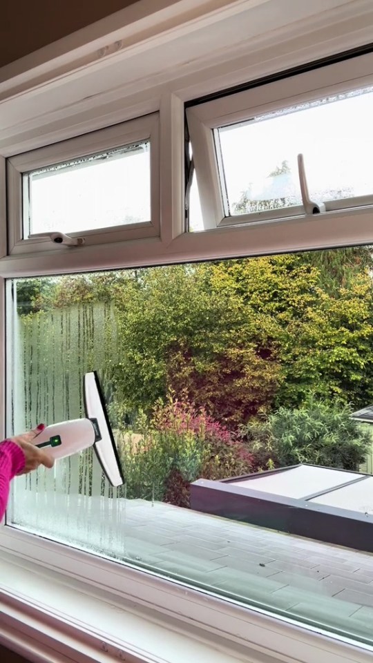 A person using a handheld window vacuum to clean a window.