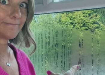 Struggle with wet windows? A £9 buy is the 'best solution for condensation'