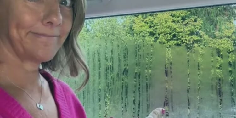 Struggle with wet windows? A £9 buy is the 'best solution for condensation'