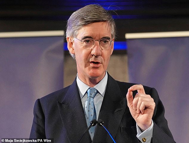 Sir Jacob Rees-Mogg, pictured in July last year, said a united centre-right 'could win a thumping majority, especially against a splintered Left' at the next general election