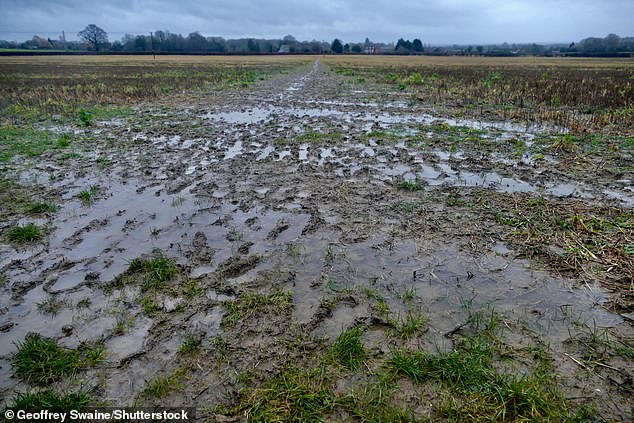Country paths have turned into muddy quagmires today after rain in Dunsden, Oxfordshire