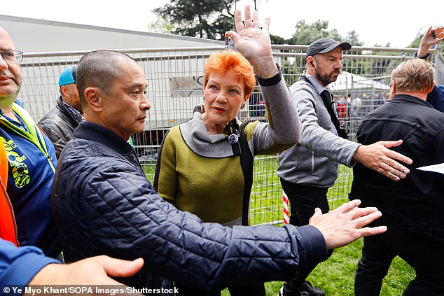 Pauline Hanson (pictured) waving to her supporters during an anti-immigration rally in Melbourne in November 2025