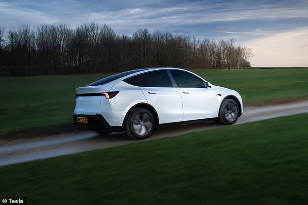 The Standard has a range of 314mph and is Tesla's most efficient model yet managing 4.5 miles per kWh on paper
