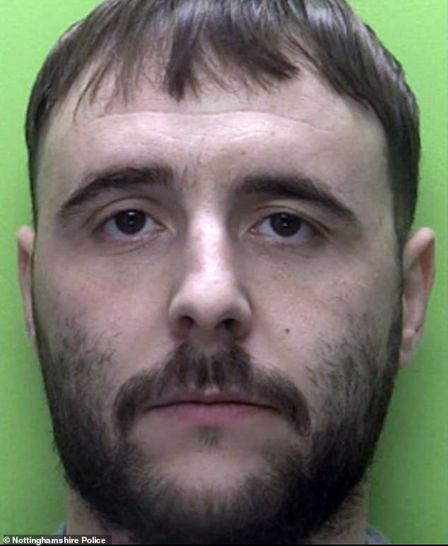 Raider, Kayne Palmer (pictured), 33, was locked up after a violent ram-raid left terrified shop owners trapped upstairs as a stolen van smashed into their business below