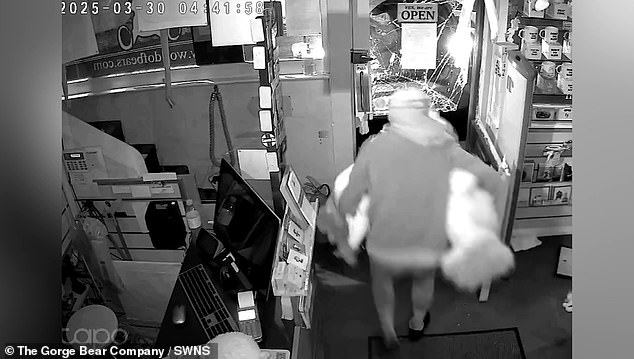 In Cheddar, Somerset - a village better known for tourism than violent crime - masked gangs last year targeted three shops in four separate attacks. CCTV shows thieves ramming the door of the property with a vehicle before stuffing a heap of the fluffy toys into a bag before fleeing