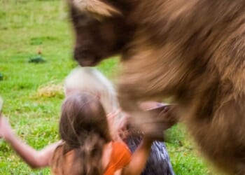 I broke my back at daughter’s wedding after 71st COW jumped on me