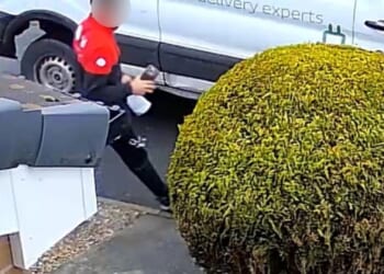 Shocking moment DPD delivery driver pockets £1,200 iPhone after snapping photo of himself pretending to deliver it