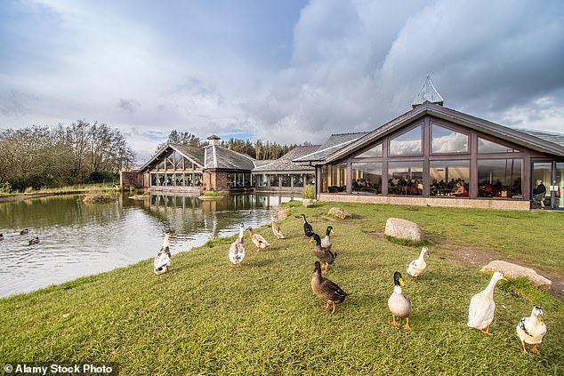 Located on the M6 in Cumbria, just an hour south of the Scottish border, Tebay Services is often regarded as one of the country's best - and has been described by some on TikTok as 'proper boujee'