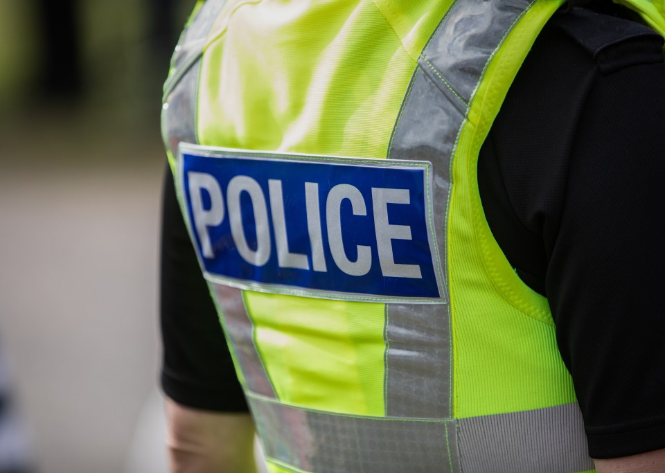 Rear view of a police officer in a high-visibility vest with the word "POLICE" across the back.