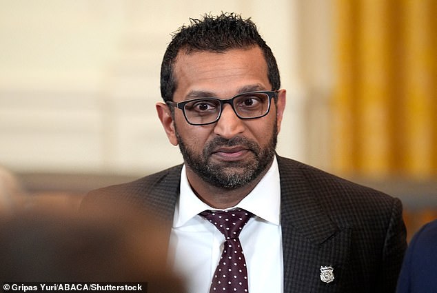 FBI Director Kash Patel told Fox News' Maria Bartiromo Sunday that 'you cannot bring a firearm, loaded, with multiple magazines to any sort of protest that you want. It's that simple.'