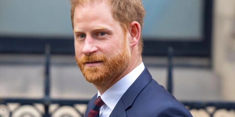 Prince Harry's female stalker twice sat BEHIND HIM at privacy trial but security 'could do NOTHING'