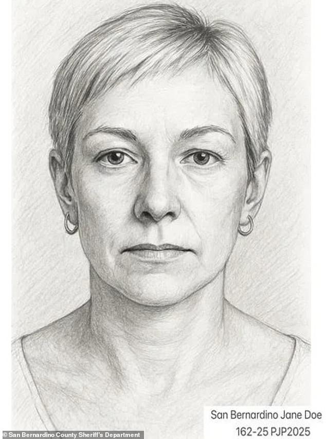 In a desperate bid to identify the victim, authorities released a composite sketch of her face