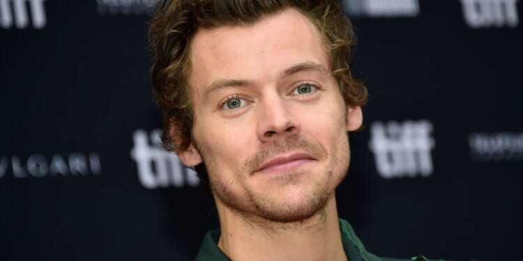 Over a MILLION Harry Styles fans battle for Wembley tickets but are left gutted over eye-watering prices