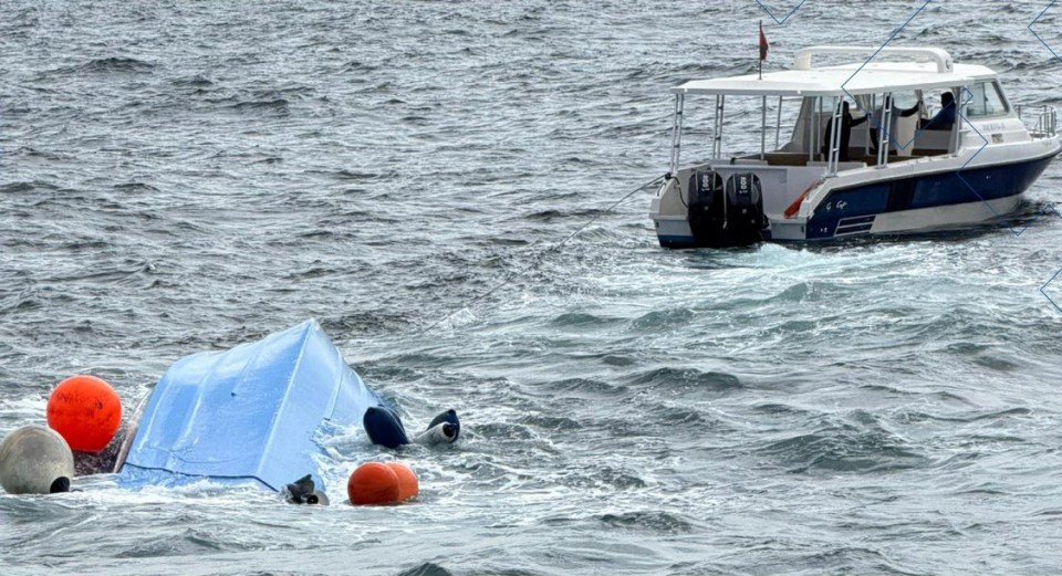 NINTCHDBPICT001054475604