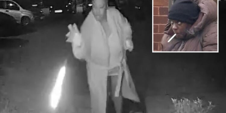 Shocking moment ex-nurse lobs matches at neighbour’s house to set it alight in chilling revenge attack