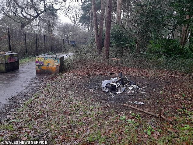 Rubbish has been dumped near footpaths, on roadsides and in parks all around the town