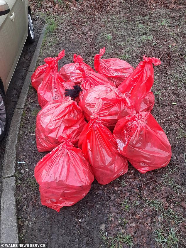Residents are trying to fight back against the fly-tippers with regular litter picks around the town