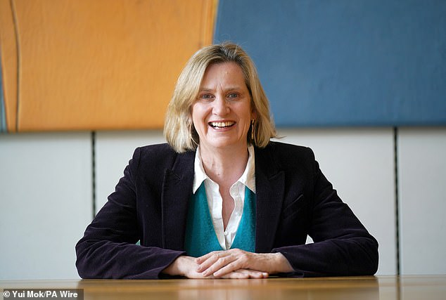 Among this band of Europhiles are many who did the Tory cause much harm. One of the two vice-chairs is Amber Rudd