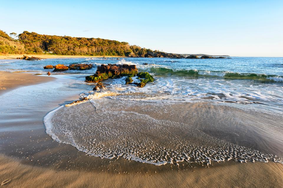 NINTCHDBPICT001054684536