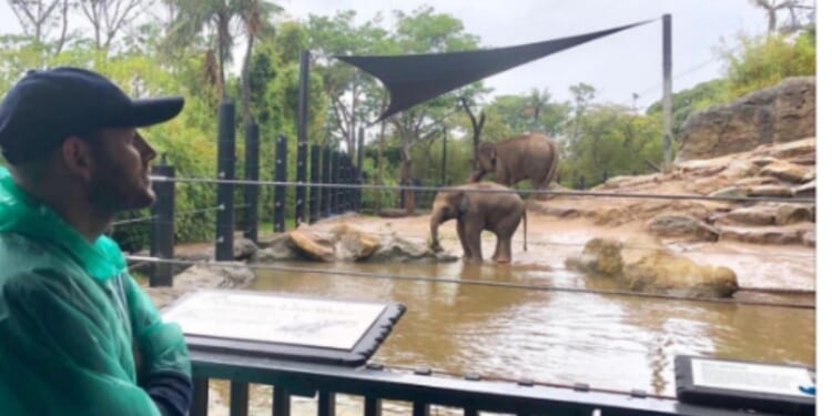 Katie Price’s husband Lee accused of faking saving ELEPHANTS with claims he was sponsoring Australian zoo