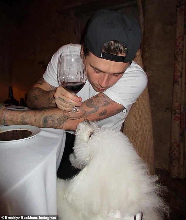 Brooklyn shared a photo of two dusty bottles of the almost impossible to find vintage before settling down to a boozy, romantic dinner with his wife and their pet dog, Nala