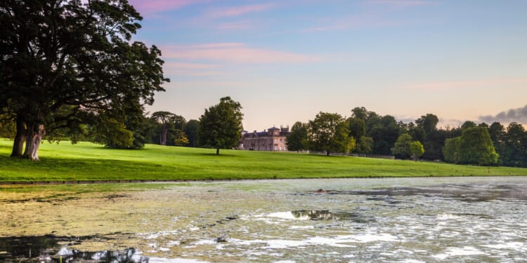 Often-mocked UK town twinned with Disney World bidding to be the country's City of Culture