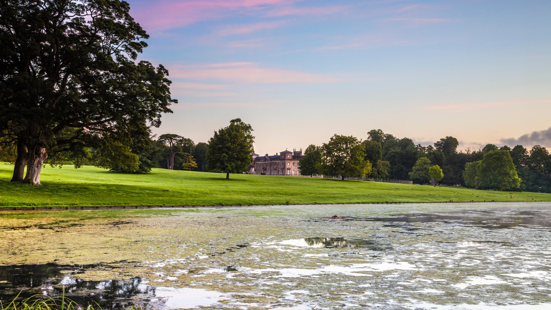 Often-mocked UK town twinned with Disney World bidding to be the country's City of Culture