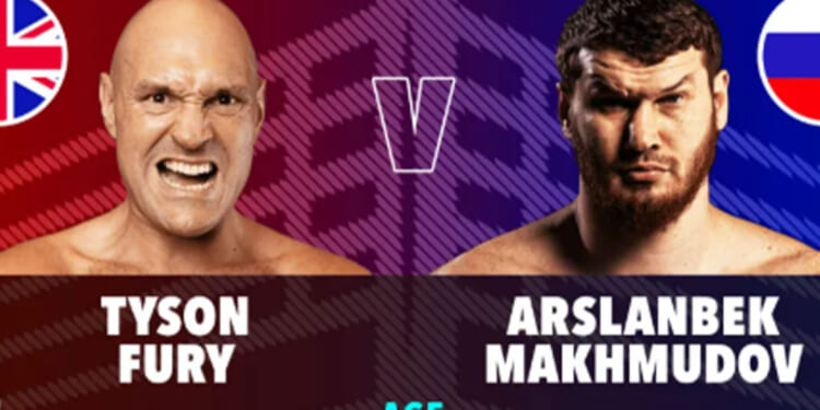 How Gypsy King compares to BEAR WRESTLER ahead of Netflix fight