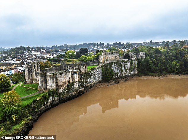 Abuses against the Wye, pictured, have left the once glistening river reeling, according to campaigners - and it may never recover its old glory