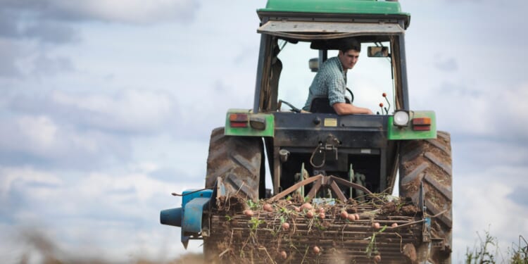 Food bills will rise again if Labour signs new EU deal that heaps costs on British farmers, industry chiefs warn