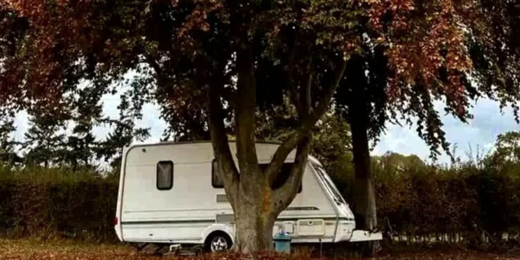 I sold everything to live in a £2K caravan from Gumtree, I'm healthier than ever even though I have no storage or garden