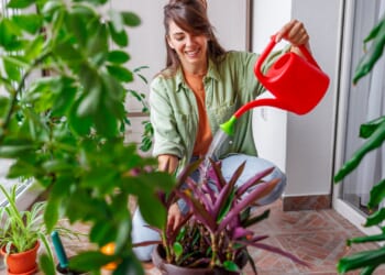 Plant owners regularly chat to their greenery & believe it helps them grow