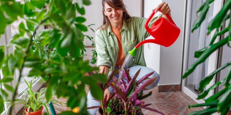 Plant owners regularly chat to their greenery & believe it helps them grow