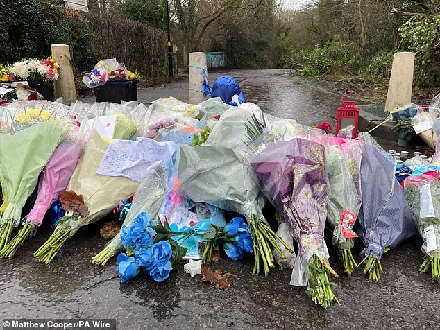 Leo's killer, now 15, has pleaded guilty to his murder at Birmingham Crown Court