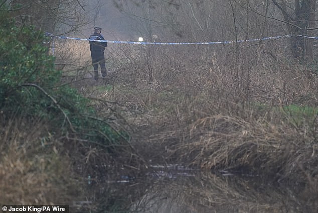 The boy was responsible for three other attacks in the Trittiford Mill Park in the Hall Green area of Birmingham over the course of three days, including on the day of Leo's killing