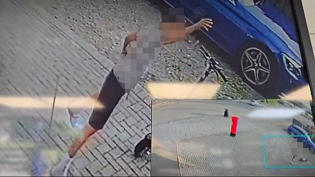 CCTV obtained exclusively by the Daily Mail shows the moment Leo's killer launched a rock through a shop window, in a random act of vandalism several months before the killing