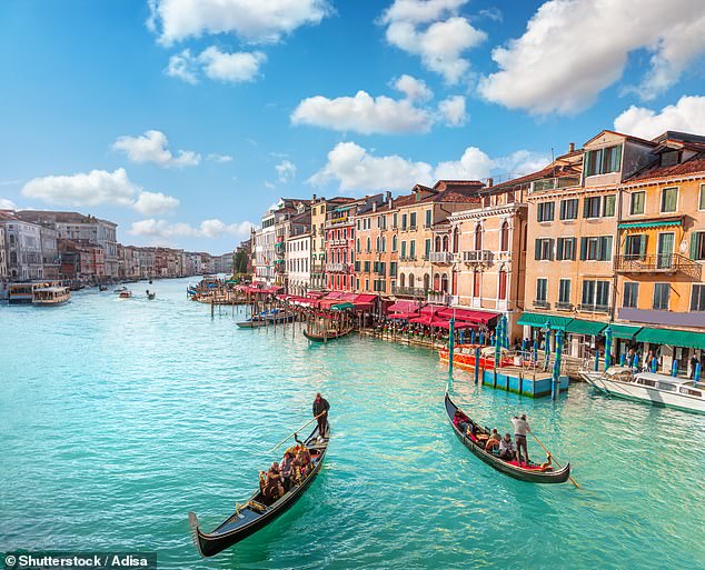 The strange marine creature – known as the warty comb jelly, or sea walnut – has exploded in number throughout the Venetian lagoon, clogging fishing nets and devouring the very building blocks of marine life. Pictured: Stock image of the Grand canal in Venice