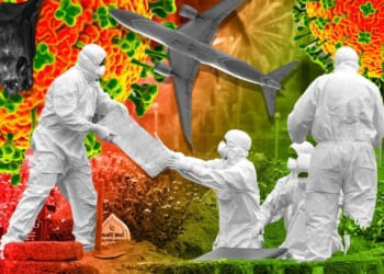 New travel warning as brain-swelling bat virus with 75% mortality could 'spread globally', WHO warns