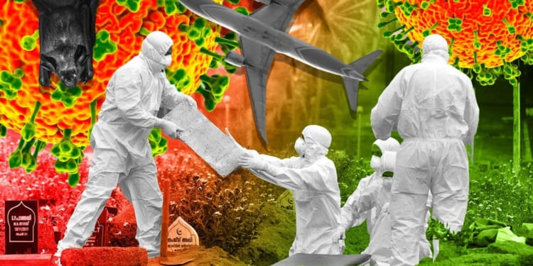 New travel warning as brain-swelling bat virus with 75% mortality could 'spread globally', WHO warns